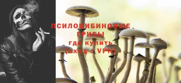 дживик Алзамай