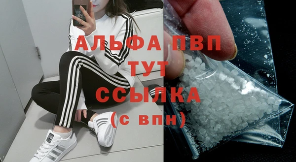 стаф Абаза