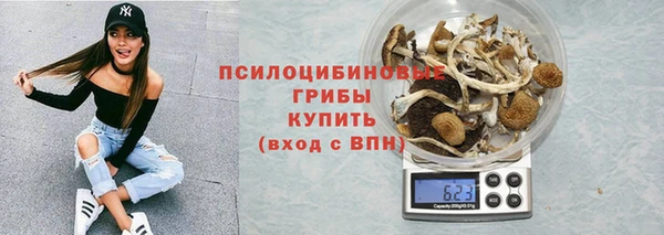 стаф Абаза