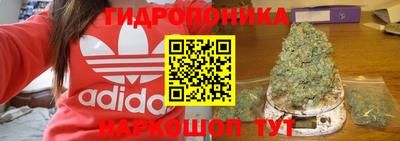 тгк Гатчина