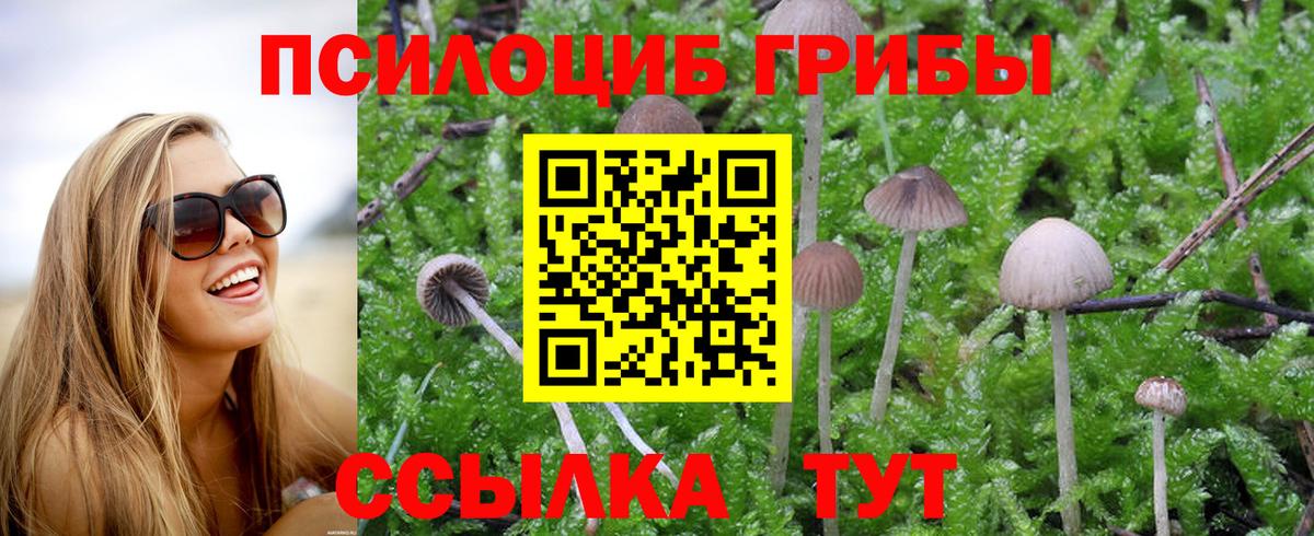 Галлюциногенные грибы прущие грибы  Вход с VPN  Кызыл 