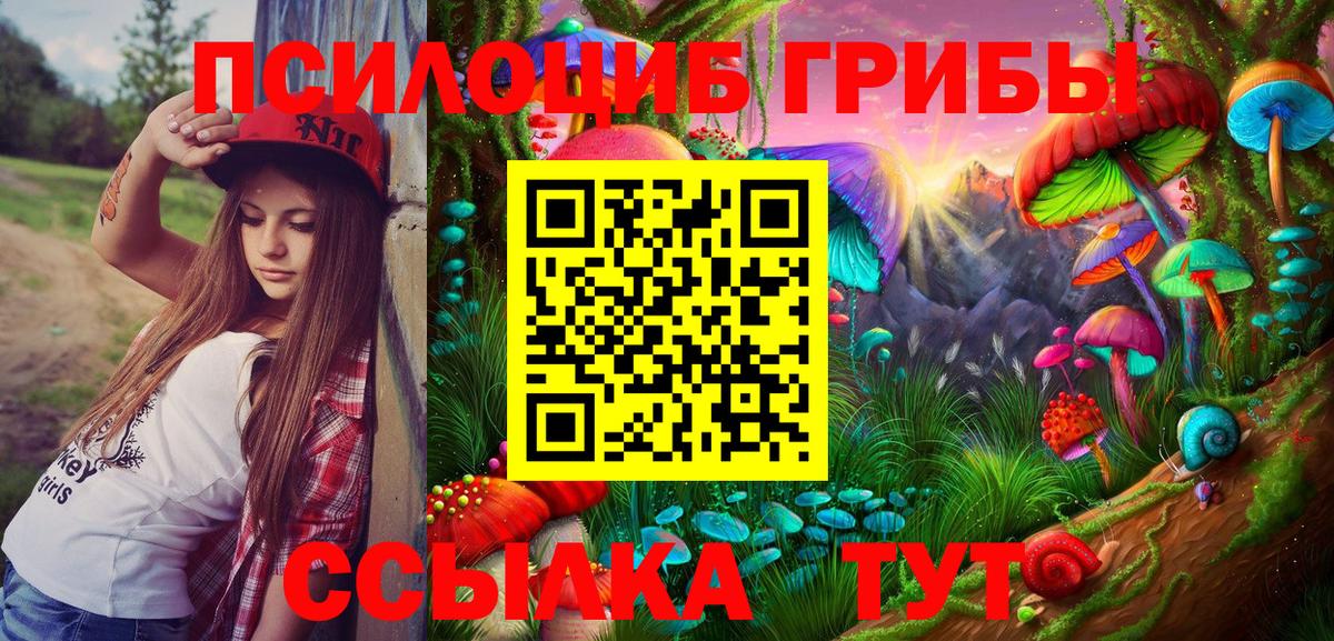 Галлюциногенные грибы Cubensis Кызыл